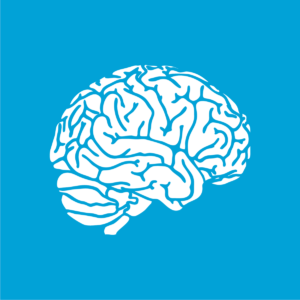 JT_Traumatic Brain Injuries Traumatic Brain Injury 19%