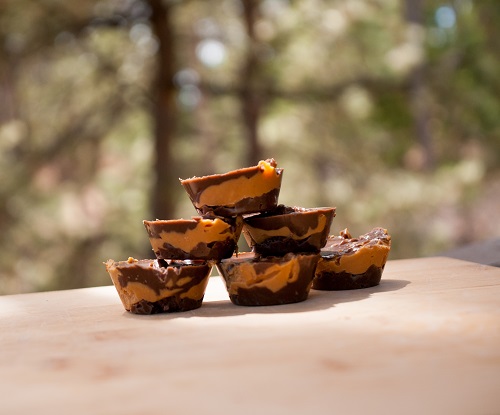 pb cup 1